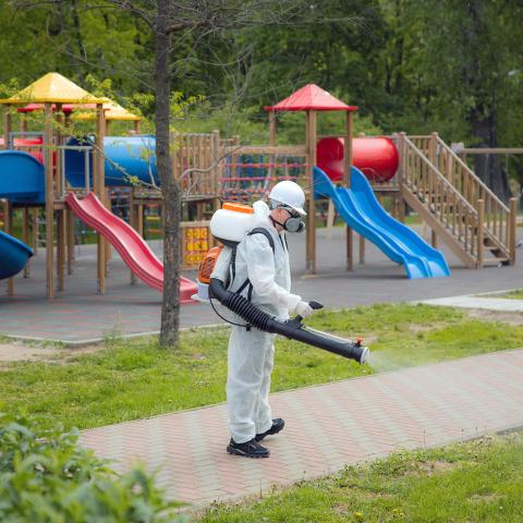 Dezinsecție - hero