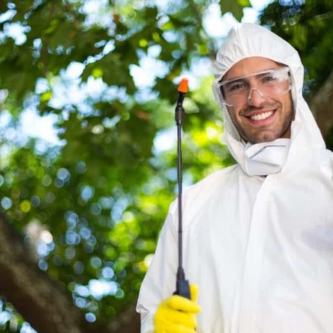 Soluții de Pest Control Eco-Friendly: Cum să Protejezi Mediul în Timp ce Scapi de Dăunători