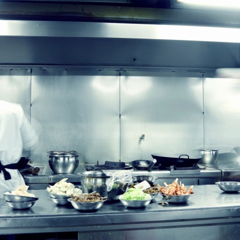 De ce este Important un Program Regulat de Pest Control în Restaurante și Unități de Alimentație
