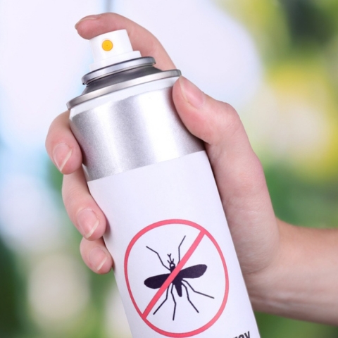 Top 10 Cele Mai Eficiente Metode de Combatere a Țânțarilor în Spațiile Deschise