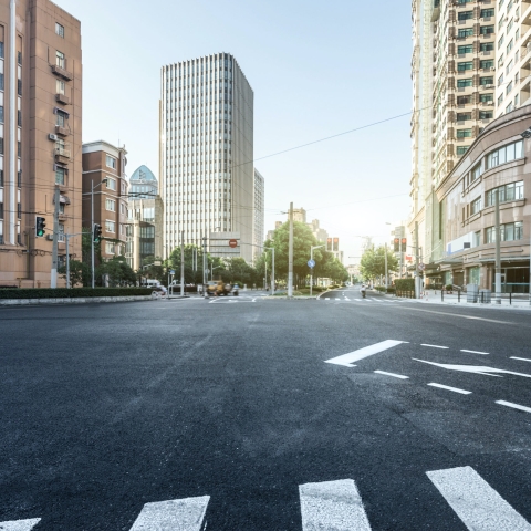 Controlul dăunătorilor în spațiile urbane: Abordări inovatoare pentru gestionarea infestărilor în mediul urban