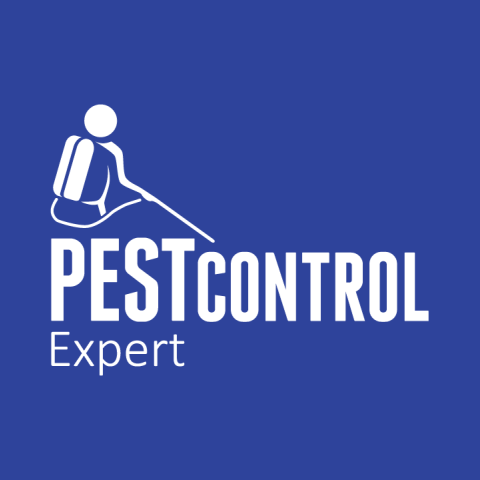 Lumină și Bucurie de Paște de la PestControl-Expert!