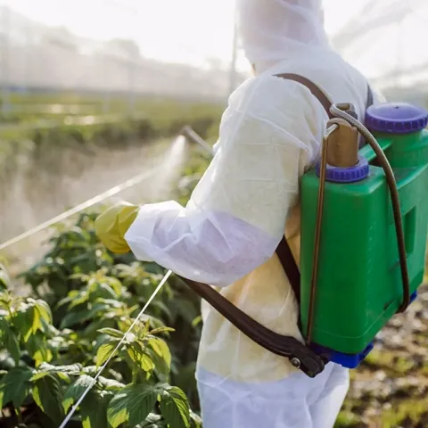 Cum să utilizezi corect pesticidele în grădină în iunie pentru a maximiza eficiența