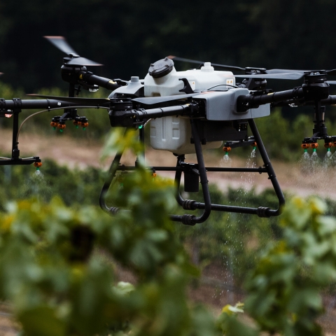 Tehnologii Inovatoare în Controlul Dăunătorilor: Utilizarea Dronelor și IoT pentru Succes