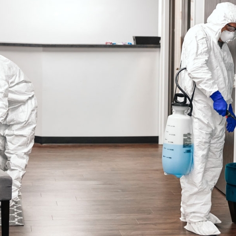 Tehnici Moderne de Dezinfectie: Ce Tehnologii Folosește PestControl-Expert