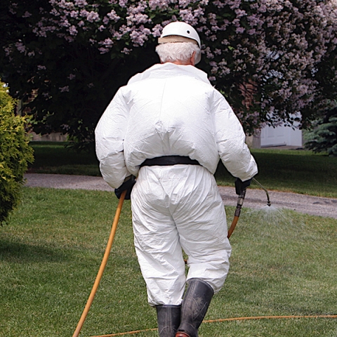 Pesticide Naturale vs. Soluții Chimice: Ce Alegi Pentru Locuința Ta?