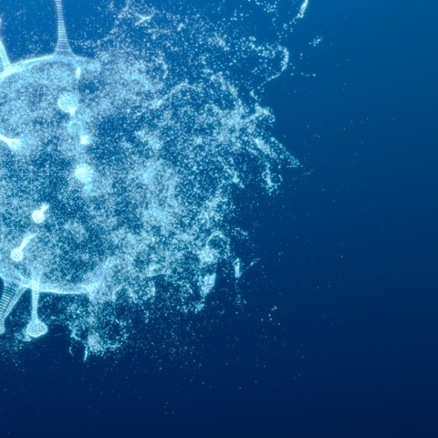 Atacul dăunătorilor în 2050 – Cum va arăta viitorul luptei cu invadatorii microscopici?