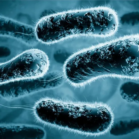 Ucigașii Invizibili: Cele mai periculoase bacterii care se ascund chiar acum în casa ta