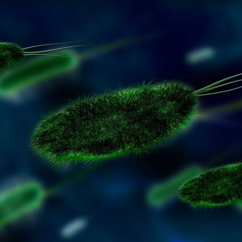 De ce să dezinfectezi mai des decât crezi? 5 locuri surprinzătoare unde microbii prosperă