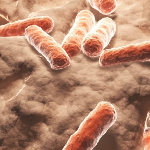 Microbii nu bat la ușă – intră direct. Cum îi oprești înainte să se instaleze