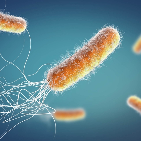 Suprafețe curate, dar periculoase: unde se ascund bacteriile chiar și după curățenie?