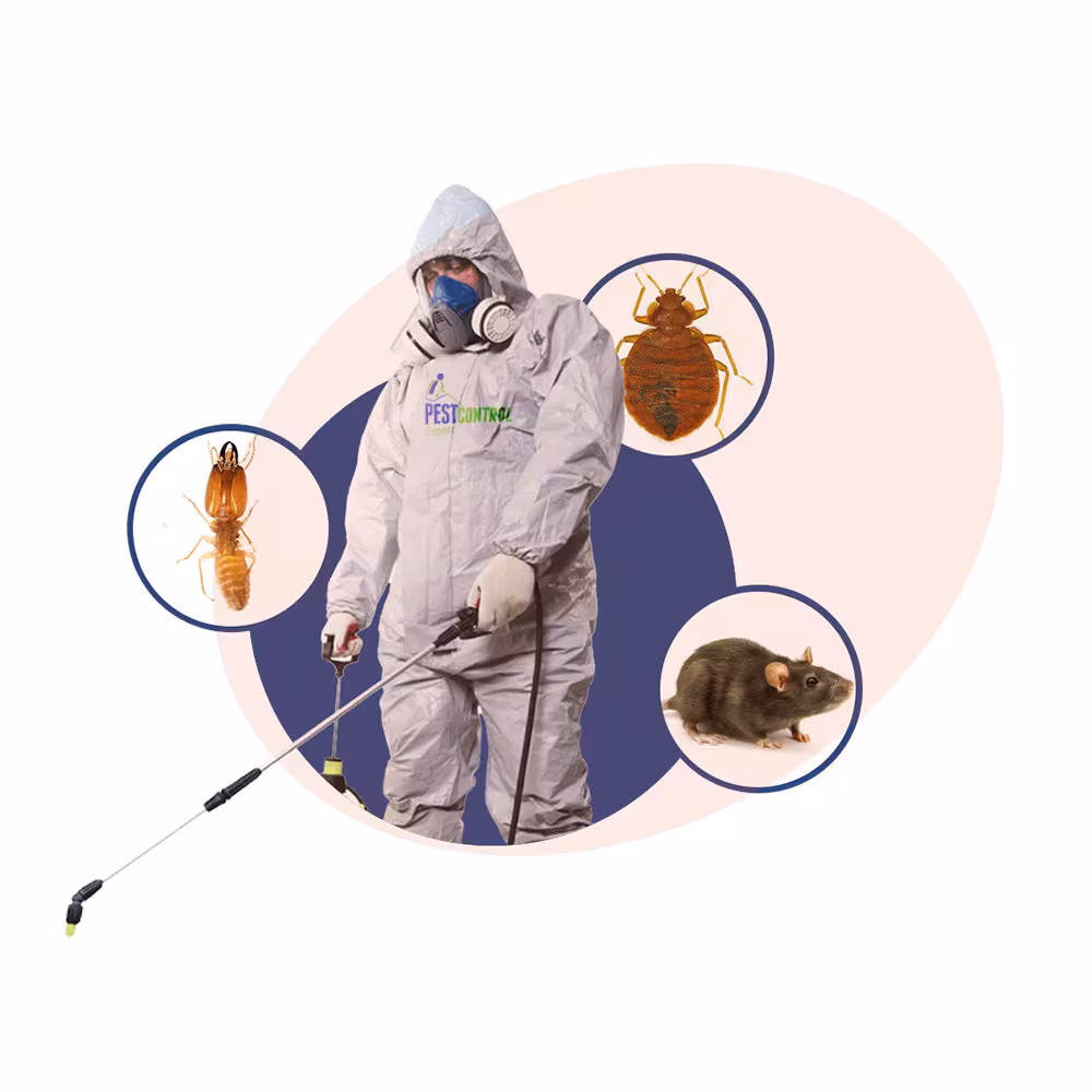 PestControl-Expert - control
