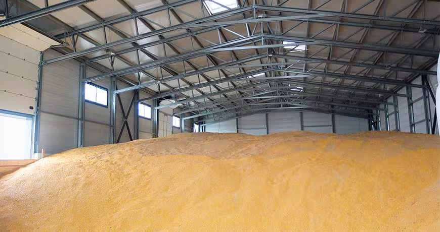 Top 3 Dăunători în Depozitele de Grâne: Cum să Protejăm Recolta și Stocurile Alimentare