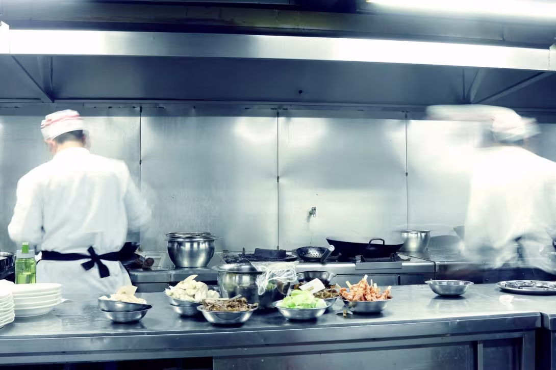 De ce este Important un Program Regulat de Pest Control în Restaurante și Unități de Alimentație