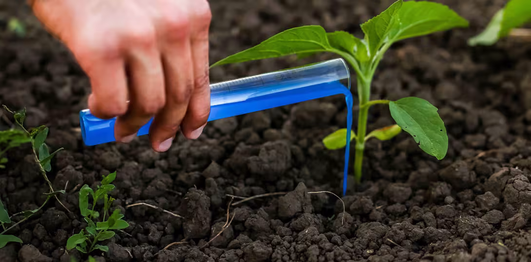 Evaluarea impactului ecologic al pesticidelor: Cum influențează utilizarea lor biodiversitatea și echilibrul ecologic