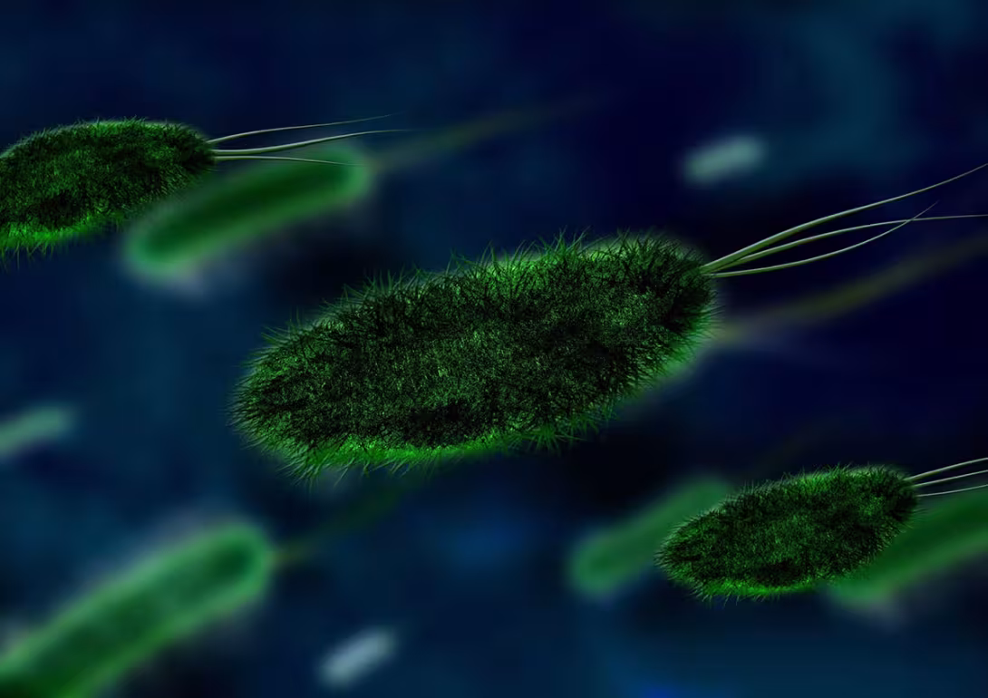 De ce să dezinfectezi mai des decât crezi? 5 locuri surprinzătoare unde microbii prosperă